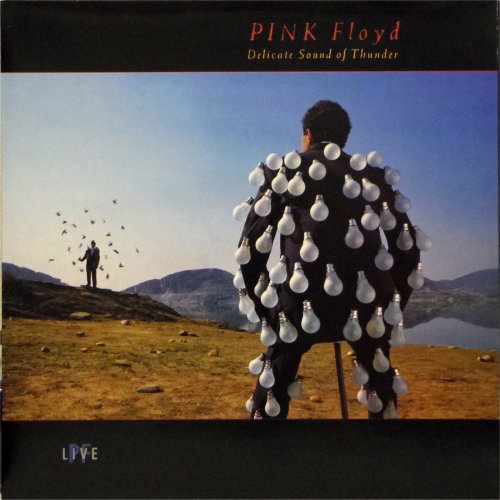 Pink Floyd<br>Delicate Sound of Thunder<br>Double LP (UK pressing)