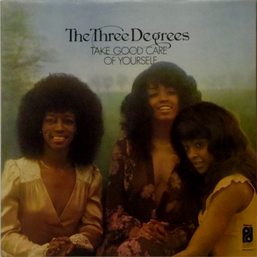 The Three Degrees<br>Take Good Care of Yourself<br>LP